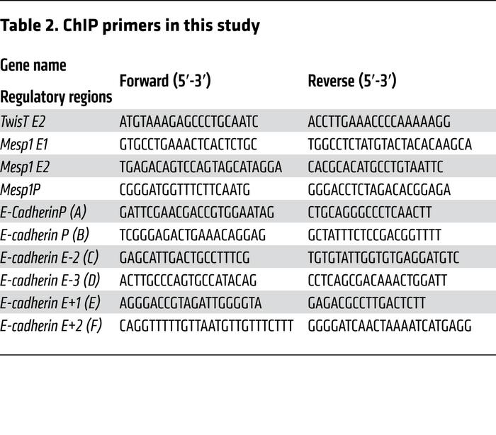 ChIP primers in this study