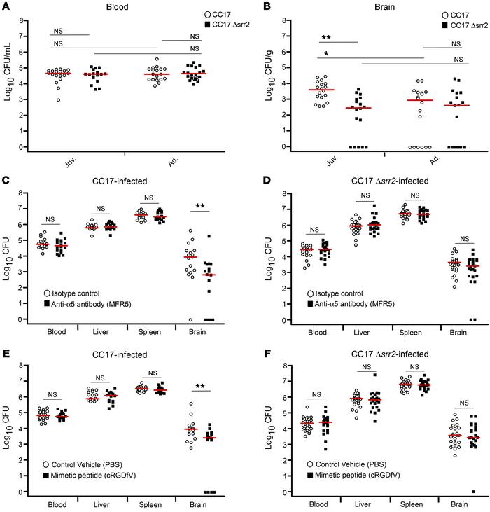 α5β1 and αvβ3 integrins contribute to juvenile-specific CC17-GBS–elicite...