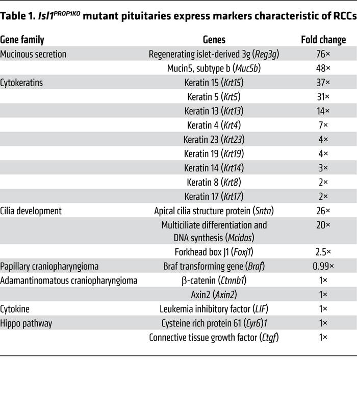 
Isl1PROP1KO mutant pituitaries express markers characteristic of RCCs