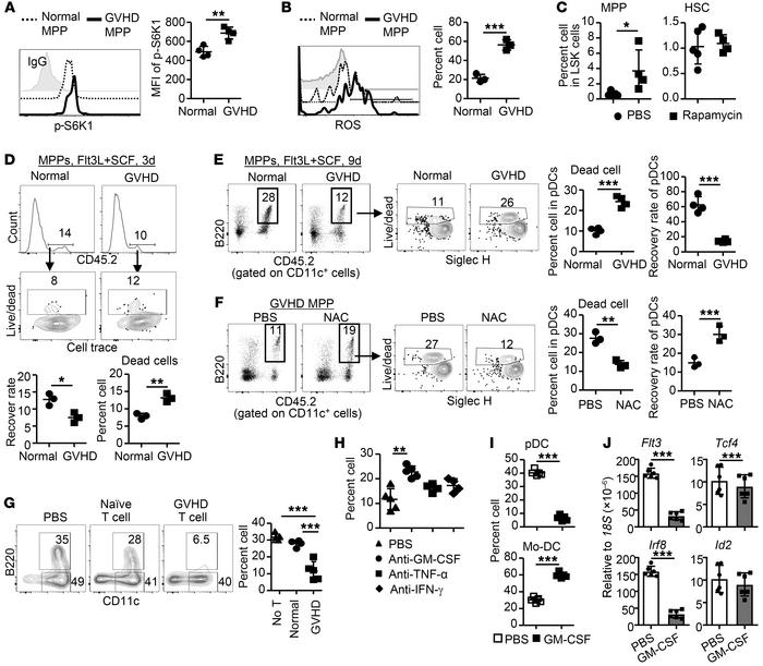 GVHD induces MPP loss.
(A–C) GVHD in BALB/c mice was induced as describe...