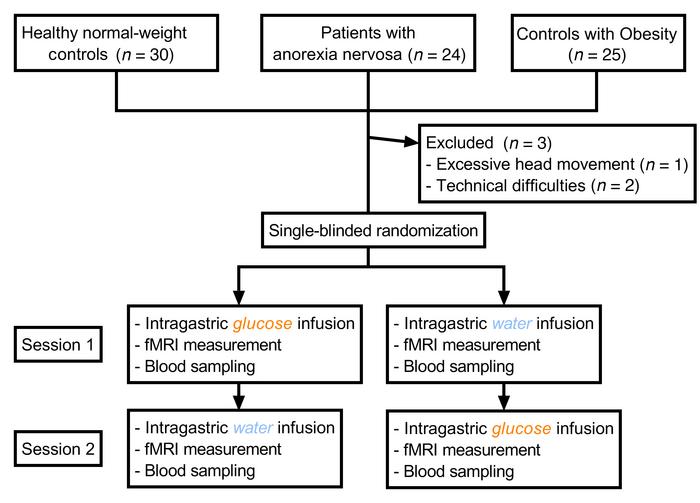 Study design.
We used a randomized, single-blind, crossover experimental...