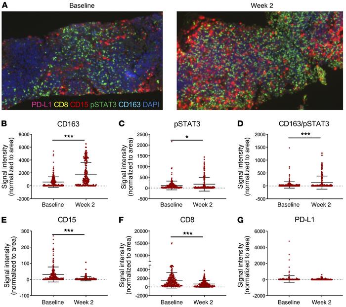 Multiplex IHC staining of tumor-draining lymph node biopsies from HNSCC ...