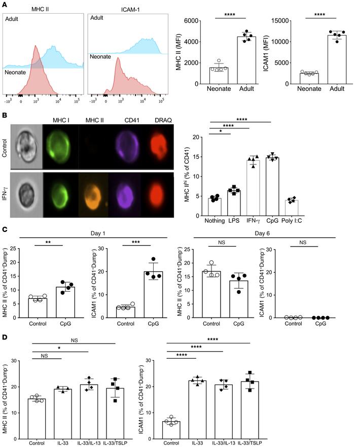 Lung Mk immune phenotype is environmentally regulated.
(A) MHC II and IC...