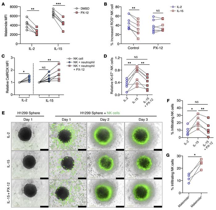 Inhibition of thioredoxin-1 reduces NK cell surface thiol groups and rev...