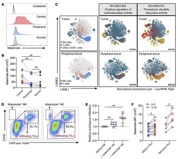 High surface thiol densities on tumor-infiltrating NK cells improve immu...