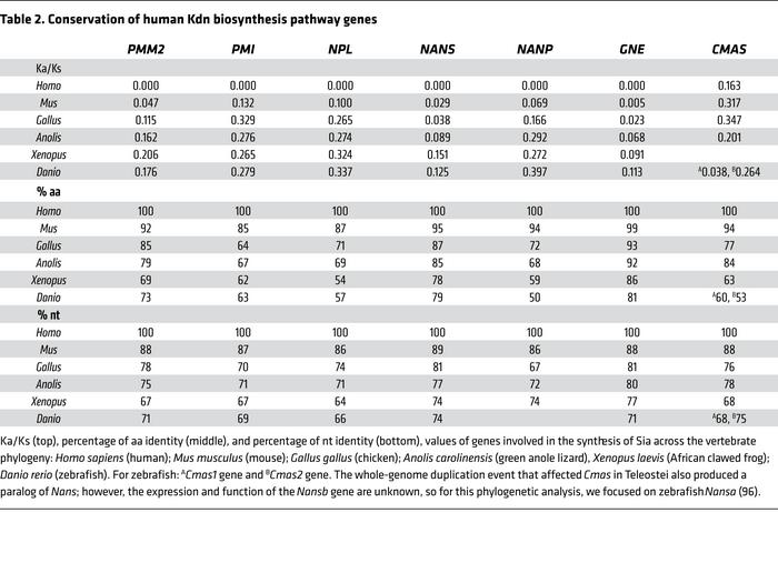 Conservation of human Kdn biosynthesis pathway genes