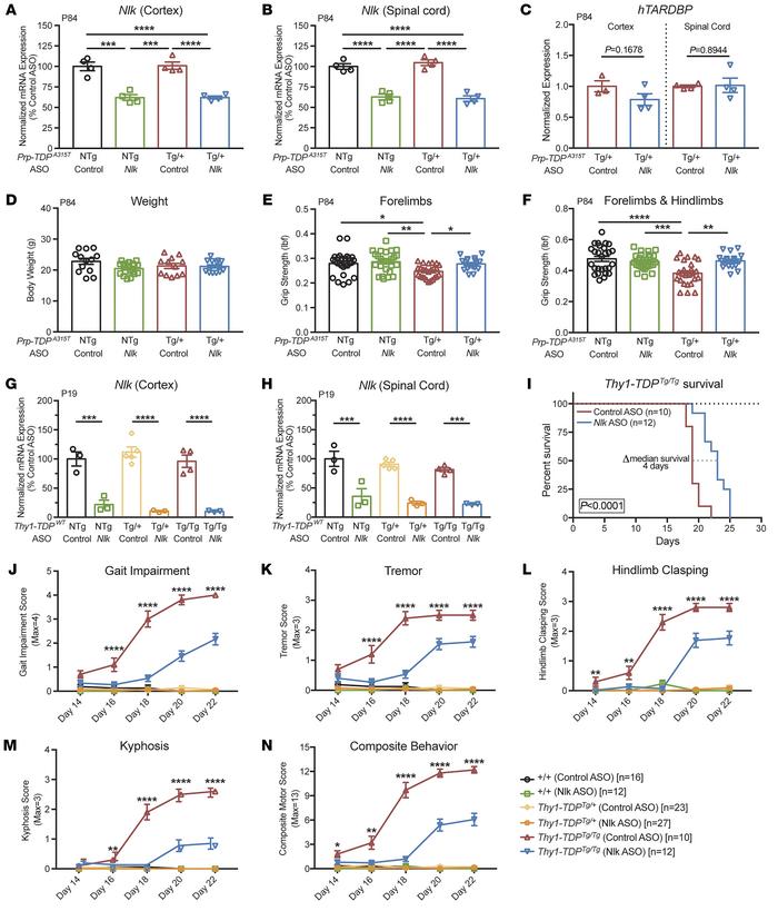 Pharmacological reduction of Nlk using ASOs improves behavior in 2 TDP-4...