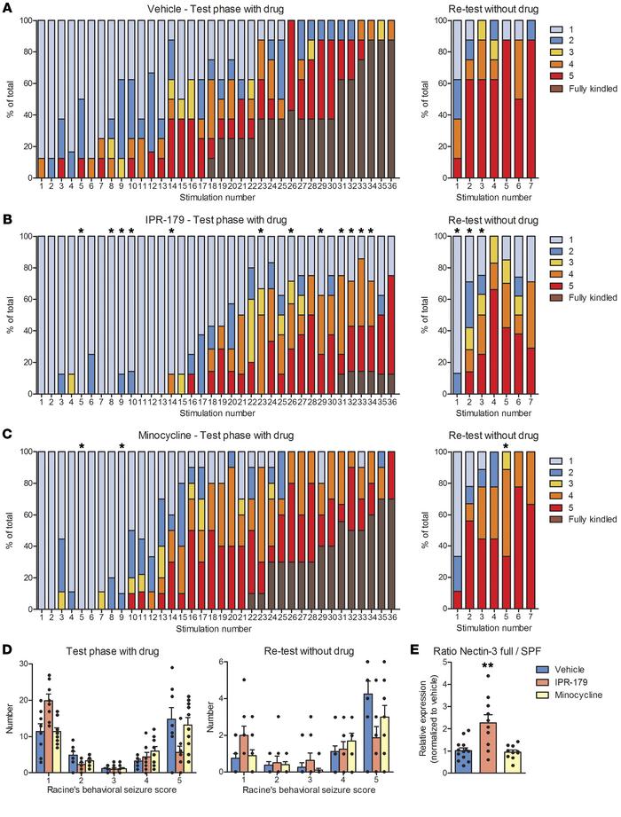 The effects of IPR-179 on seizure development in the rapid-kindling rat ...