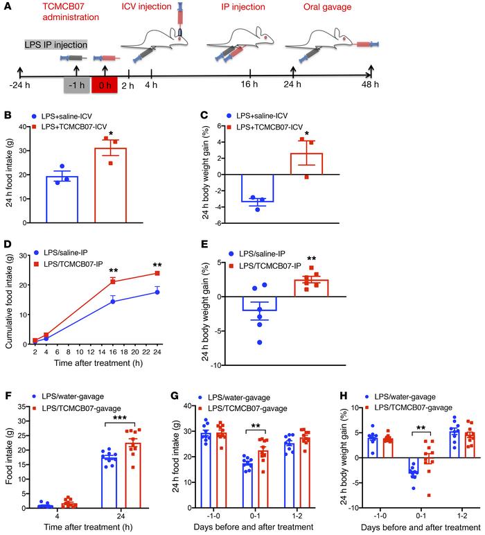 Central and peripheral administration of TCMCB07 attenuates anorexia and...