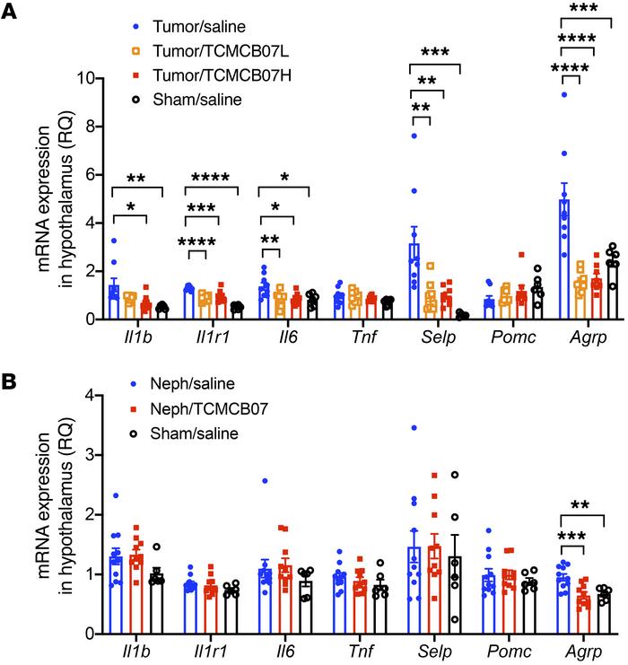 Treatment of TCMCB07 diminishes inflammatory and P selectin gene express...