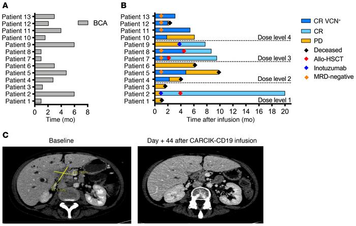Clinical outcome and antileukemic response duration.
(A) Waterfall plot ...