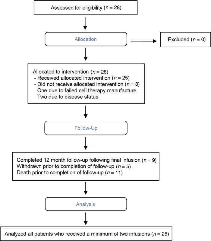 CONSORT diagram showing participant allocation, follow-up, and analysis.