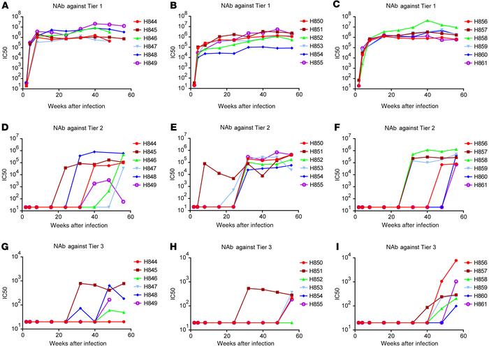 Sequential development of neutralizing antibody responses against tier 1...