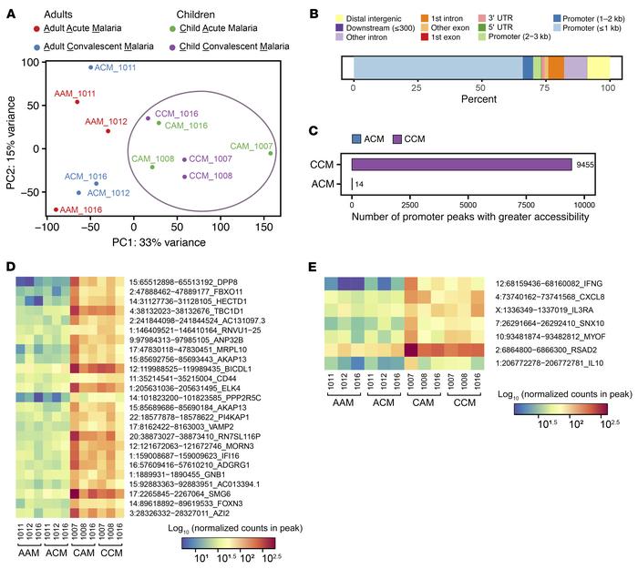 ATAC-Seq of monocytes from adults and children infected with malaria: in...
