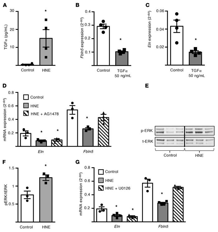 Neutrophil elastase downregulates mRNA expression of fibulin-5 in saccul...