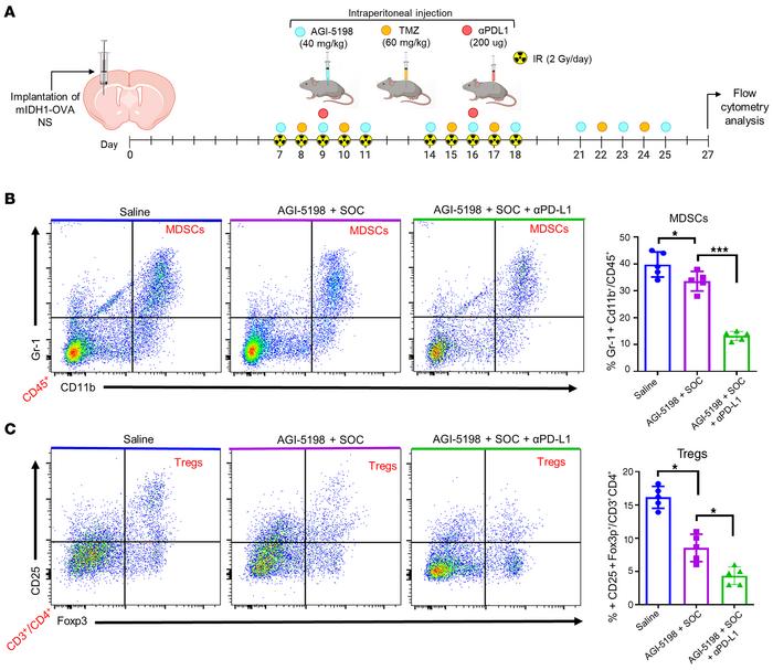 Inhibition of IDH1-R132H in combination with SOC and αPD-L1 decreases th...