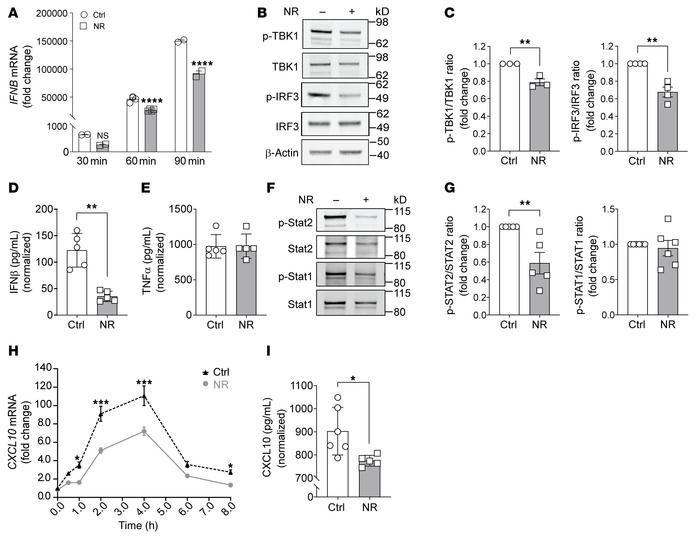 NR administration to human monocytes suppresses LPS-mediated type 1 IFN ...