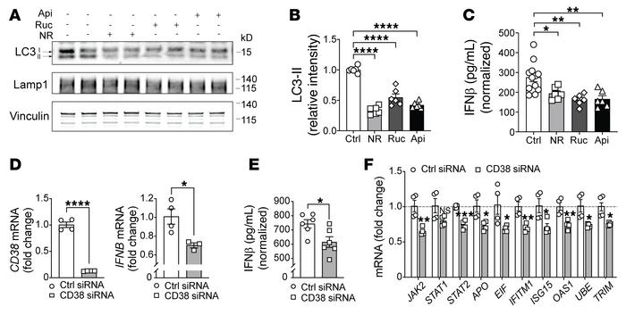 Interventions to increase NAD+ levels reduce autophagy and monocytic IFN...