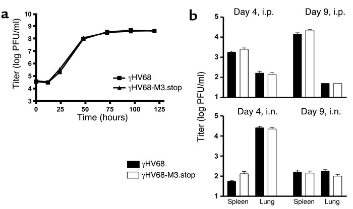 Replication of the γHV68-M3.stop virus. (a) Multistep growth curve. NIH ...