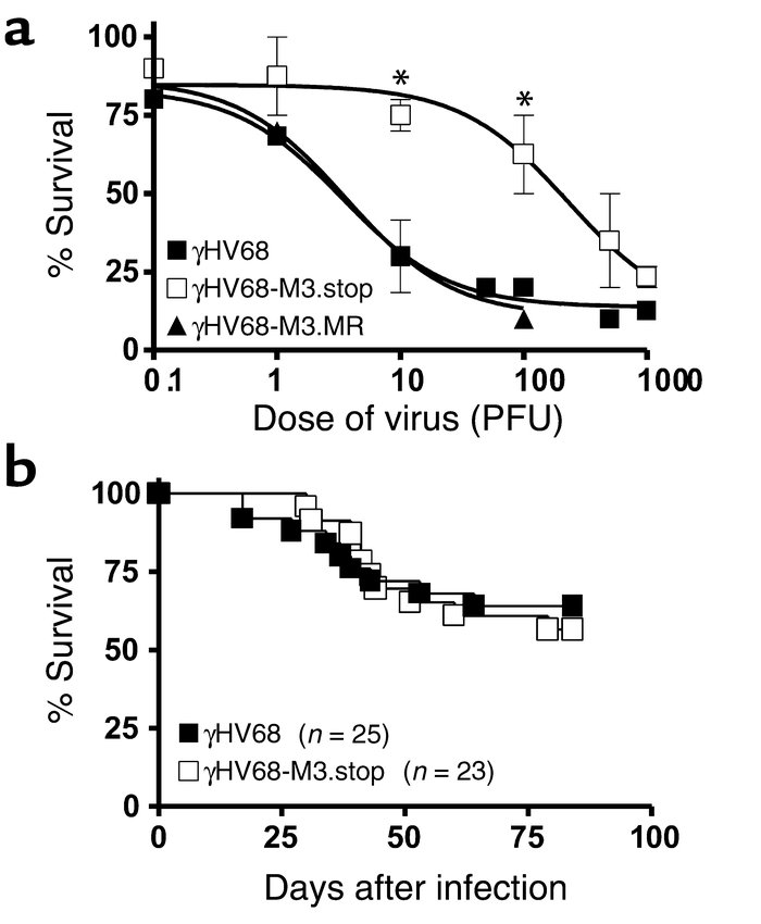 Virulence of γHV68-M3.stop virus. (a) CD1 mice (21 days old) were inocul...