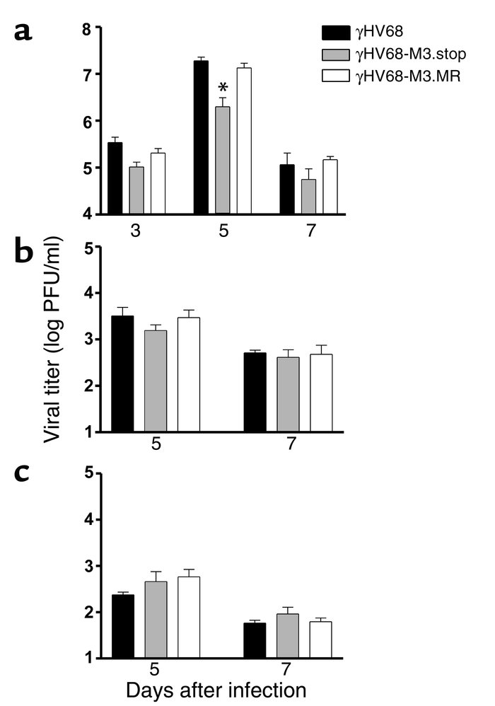 Viral titer after intracerebral infection with γHV68-M3.stop virus. CD1 ...