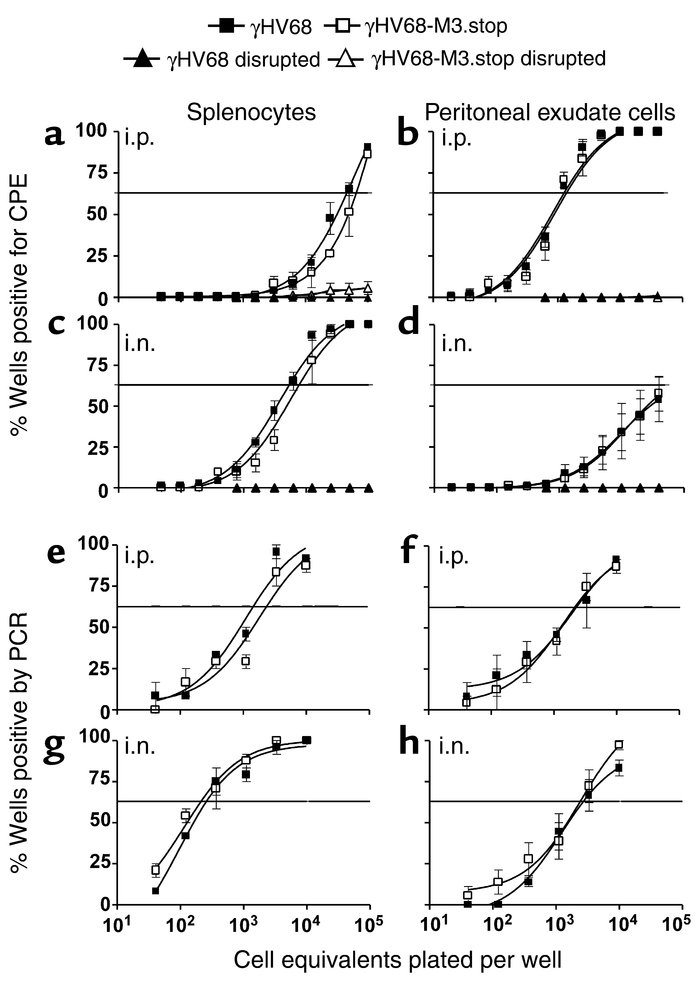γHV68-M3.stop establishes and reactivates from latency normally. Sixteen...