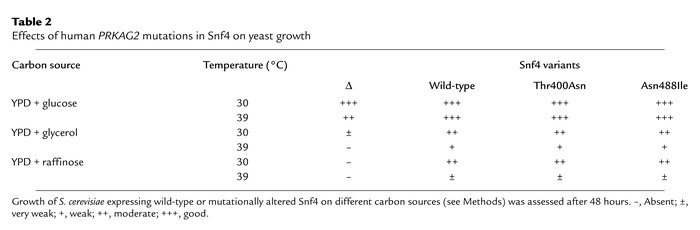 Effects of human PRKAG2 mutations in Snf4 on yeast growth