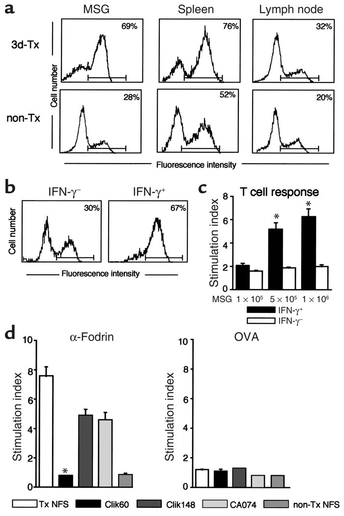 (a) A large proportion of class II–expressing (I-Aq–expressing) cells ob...