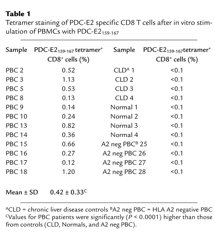 Tetramer staining of PDC-E2 specific CD8 T cells after in vitro stimulat...