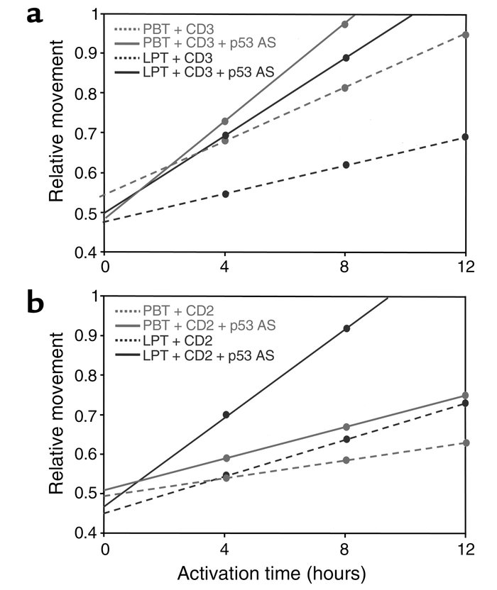 Effect of p53 antisense treatment on relative movement of PBTs and LPTs....
