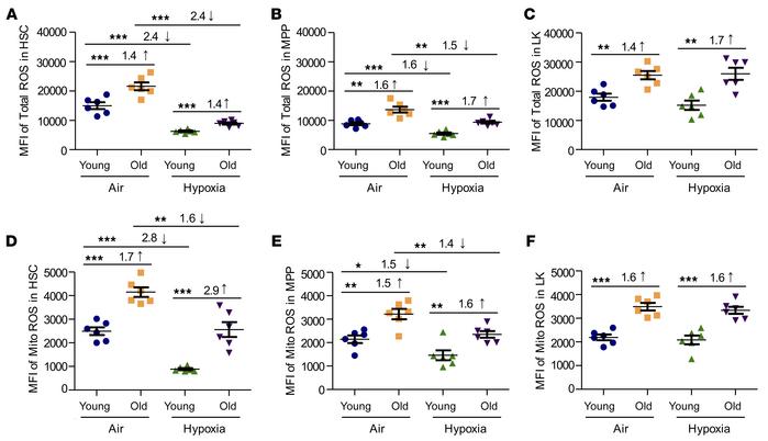 Total and mitochondrial HSC and HPC ROS levels in young and old C57BL/6 ...
