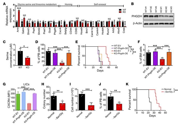 ATP/P2X7 signaling maintains LIC activities by activating the PHGDH path...