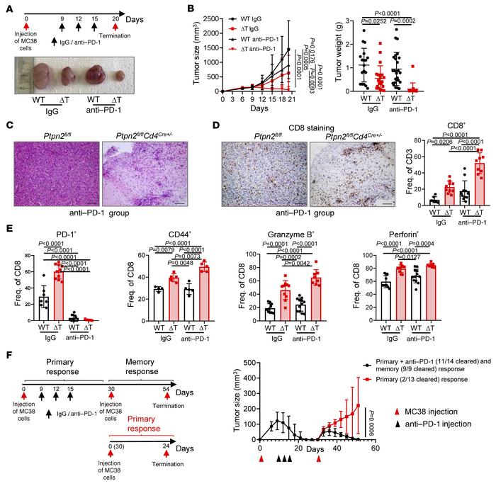 PTPN2 deficiency and anti–PD-1 therapy lead to an enhanced synergetic an...