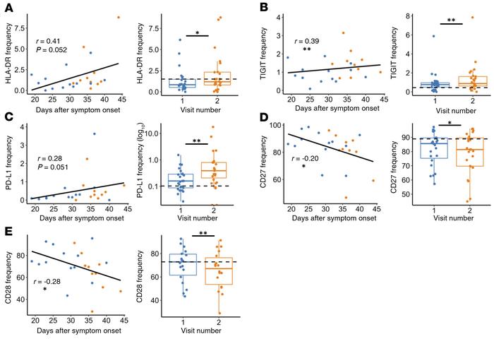 CD8+ T cell activation and exhaustion over time in nonhospitalized indiv...