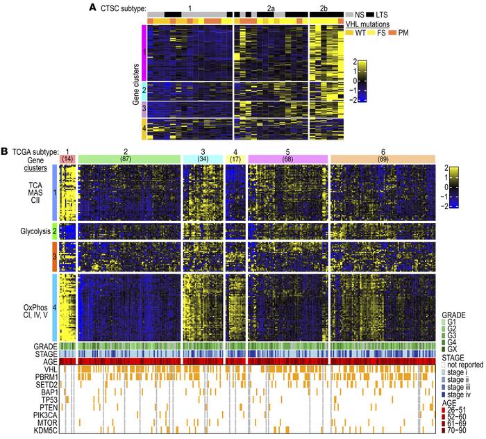 Identification of ccRCC subtypes based on stratification using metabolic...