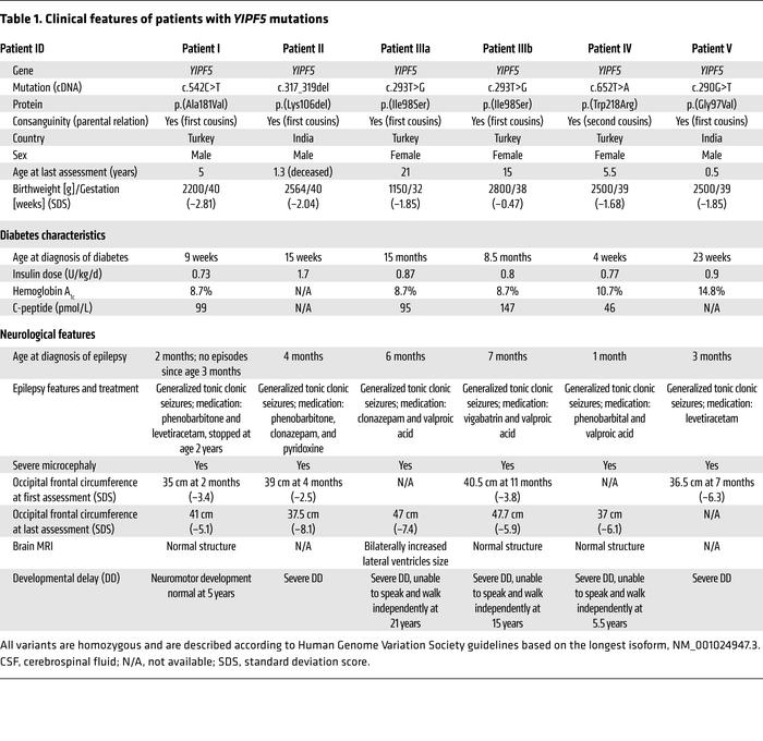 Clinical features of patients with YIPF5 mutations
