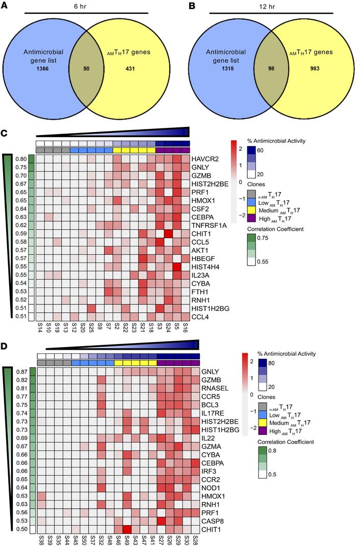 Antimicrobial transcripts are highly expressed in AMTH17.
(A and B) AMTH...