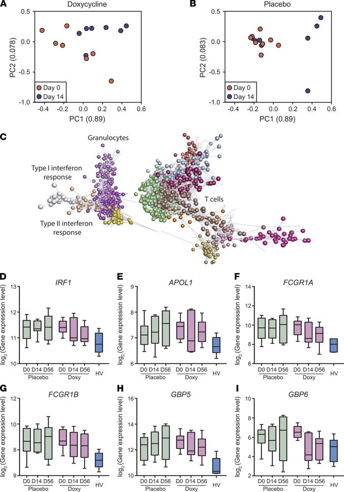 Doxycycline results in faster normalization of type II interferon and in...