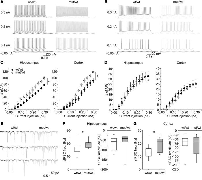 Hyperexcitability of GABAergic neurons and increased GABAergic transmiss...