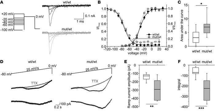 Increased ramp Na+ currents of hippocampal inhibitory neurons in acute b...