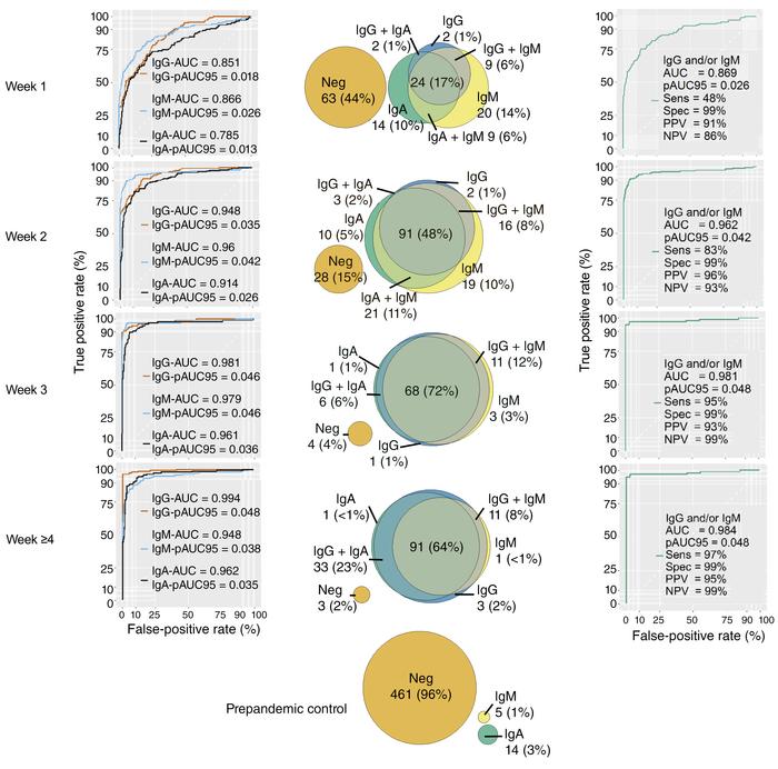 Assay performance of the SARS-CoV-2 spike RBD LIPS in COVID-19.
Antibody...