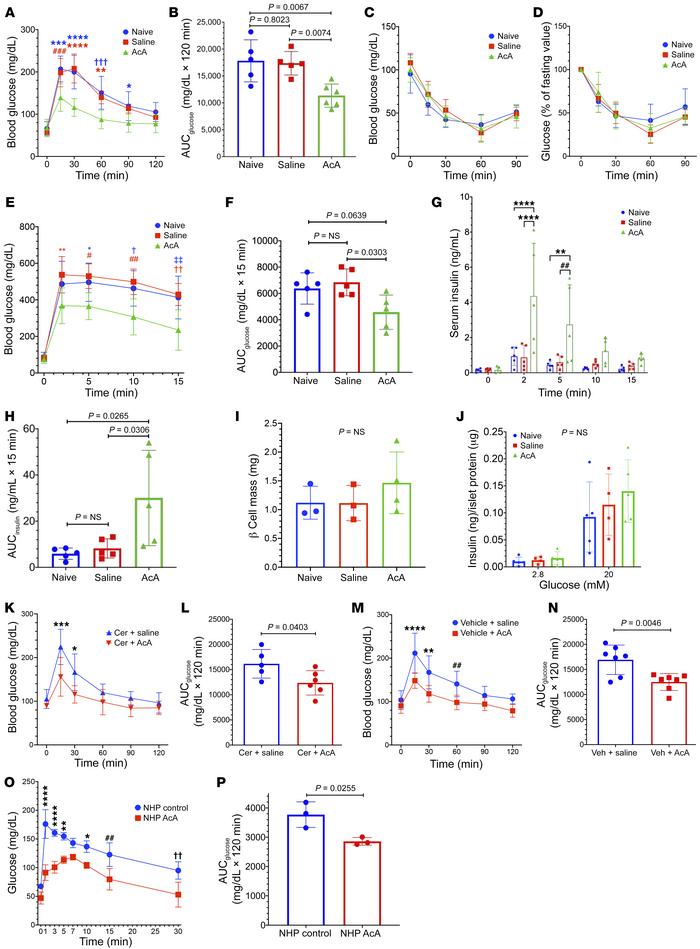 Chemical pancreatectomy improves glucose tolerance and insulin secretion...