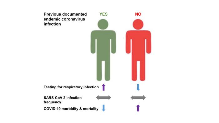 graphical abstract