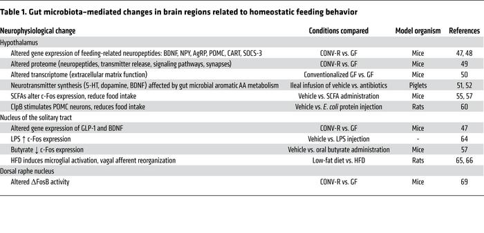 Gut microbiota–mediated changes in brain regions related to homeostatic ...