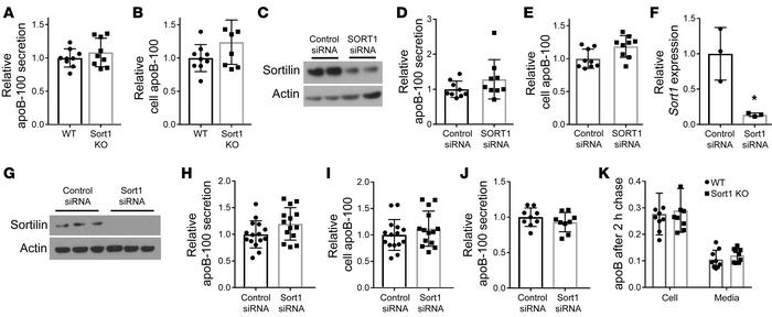 Loss of sortilin has no effect on apoB secretion in primary murine hepat...