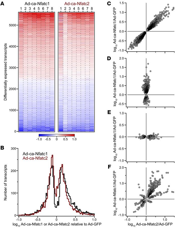 NFATC1 and NFATC2 regulate gene expression in human islets.
Whole-islet ...