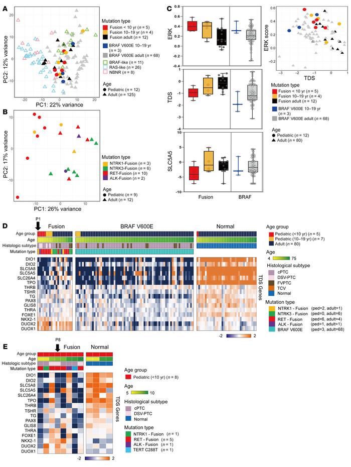 Comparison of expression signatures between pediatric and adult PTCs.
(A...