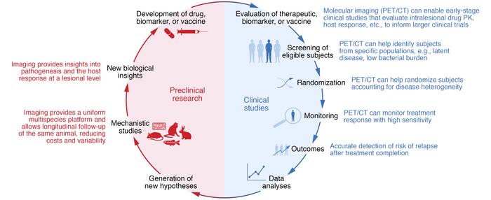 Molecular imaging in the development of new treatments, biomarkers, and ...