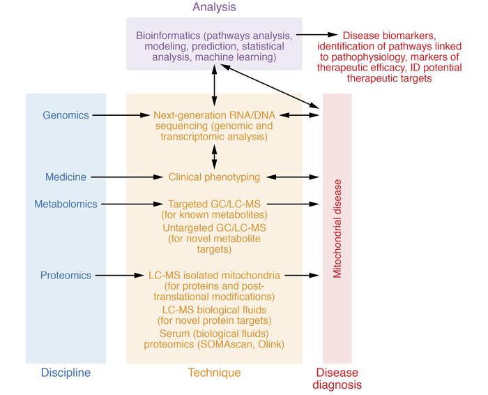 The integration of omic approaches with clinical phenotyping, bioinforma...