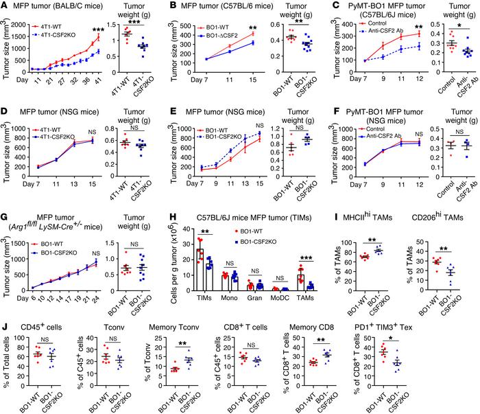 Breast tumor–derived GM-CSF promotes tumor growth through the modulation...